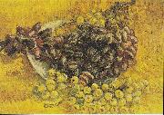 Vincent Van Gogh Still Life with Grapes oil